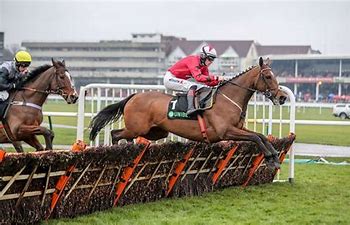 The New One, a favourite race in the Haydock Champion Hurdle Trial
